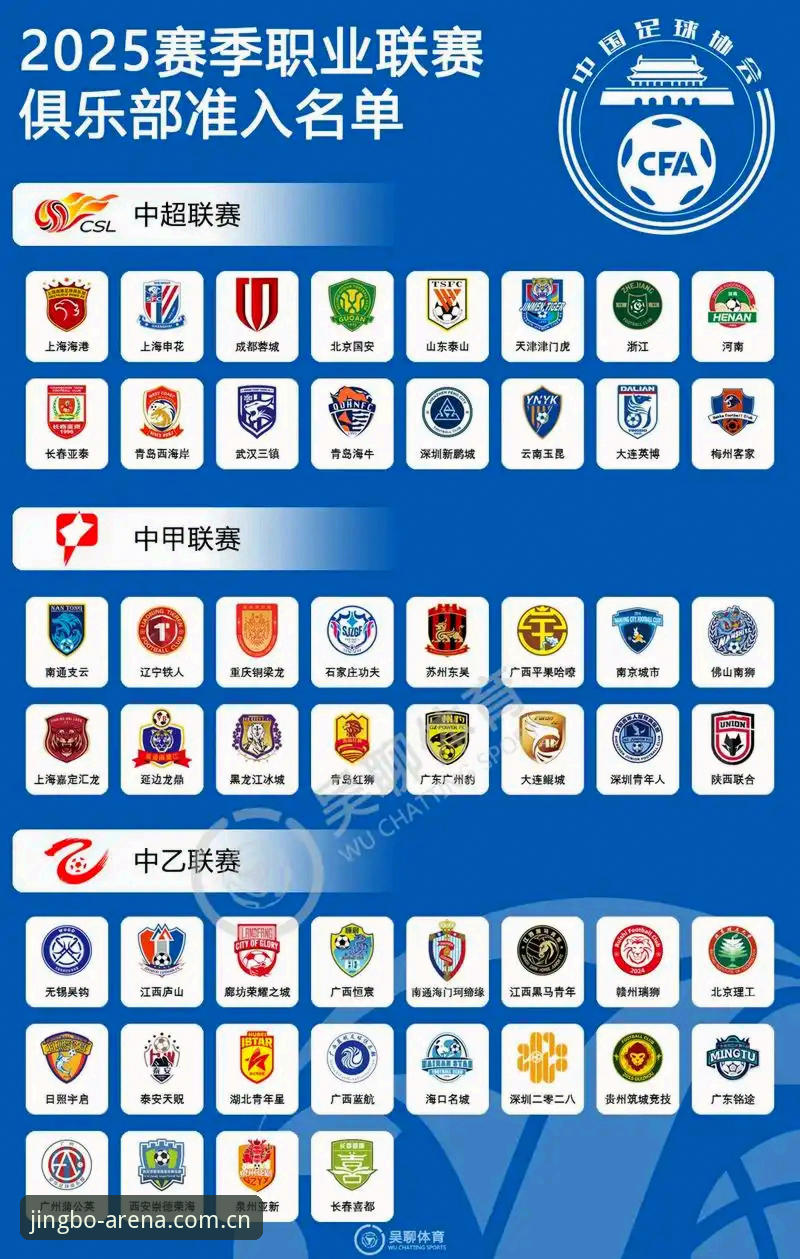 剖析足球界“净化风暴”的实用关键——从中国足协第三批禁足名单看行业自律